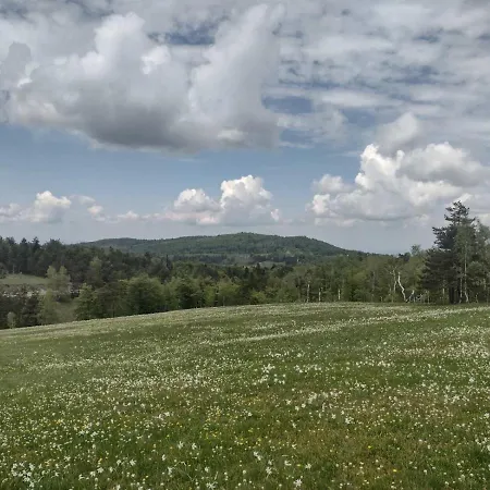 Ferienhaus Vikendica Markovic Divčibare