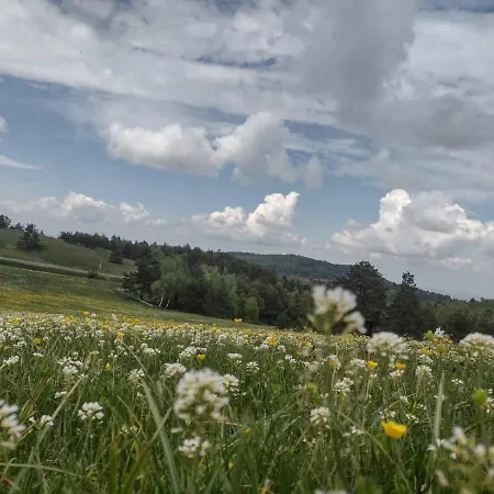 Ferienhaus Vikendica Markovic