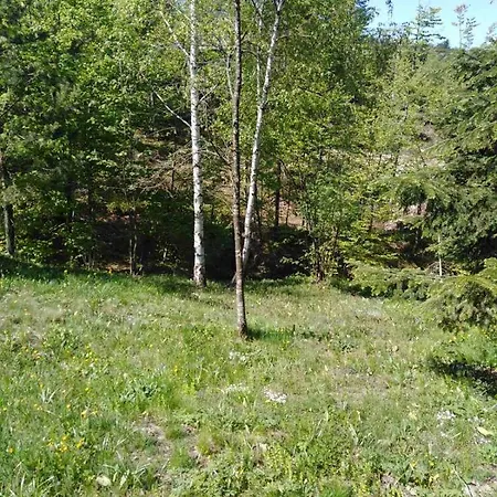 Vikendica Markovic * Divčibare