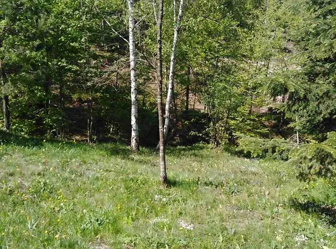 Vikendica Markovic * Divčibare